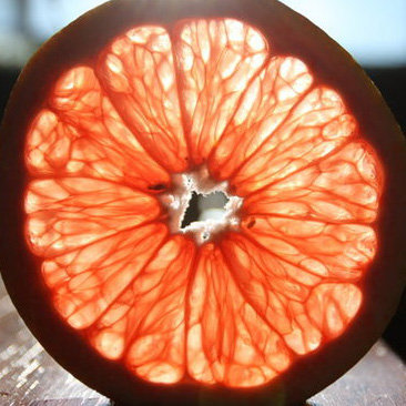 National Grapefruit Month Recipes