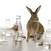 L'Oreal and ToxCast Aim to End Animal Testing