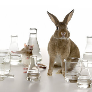 L'Oreal and ToxCast Aim to End Animal Testing