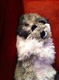 Snuggle Time