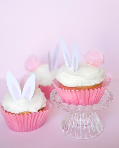 Cottontails Cottontails
