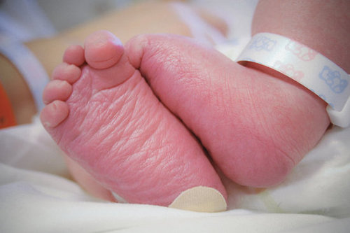 Ten Toes, Two Feet Ten Toes, Two Feet