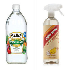 The Best Natural Cleaning Product The Best Natural Cleaning Product