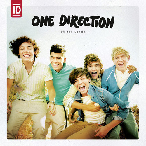 Facts About Popular UK Boy Band One Direction