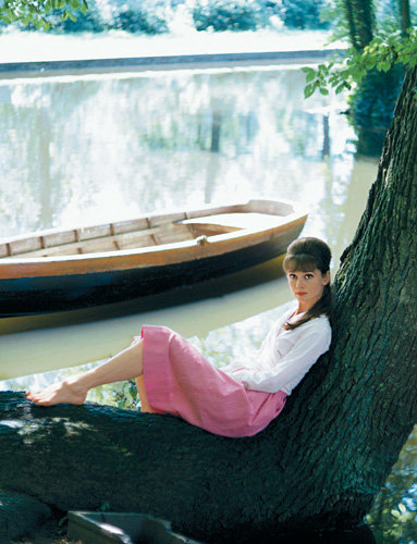 In the Garden