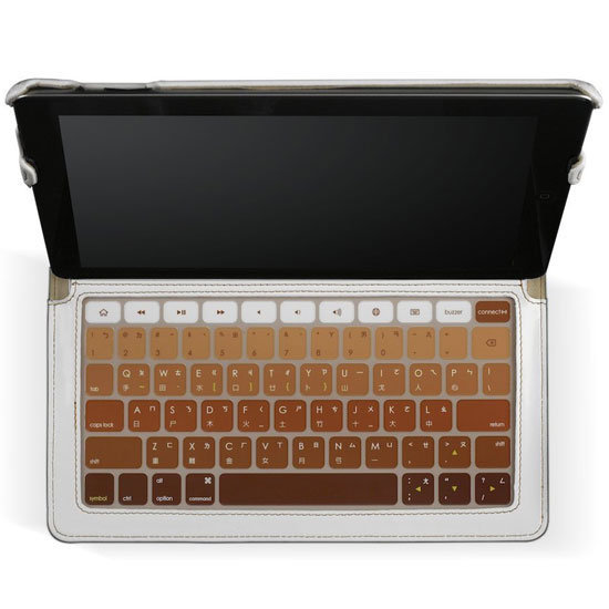  Hatch & Co Skinny iPad 2 Case ($75) 