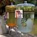 Flavored Waters