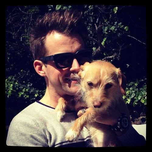 Dog Days Dog Days