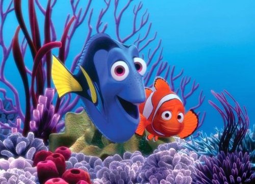 Finding Nemo Finding Nemo