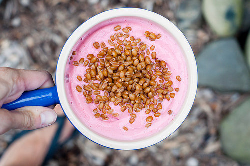 Frozen Strawberry Greek Yogurt Frozen Strawberry Greek Yogurt