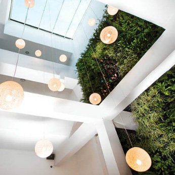 Tantalo Boutique Hotel Panama Pictures