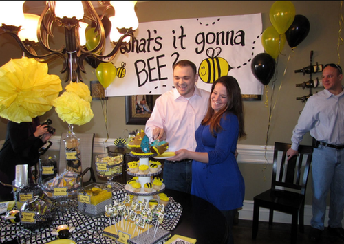 Gender Reveal Party Gender Reveal Party