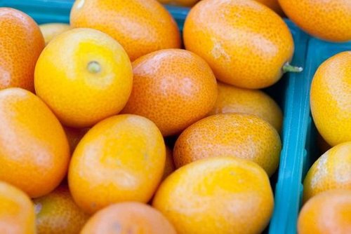 The Spring Fruit: Kumquats The Spring Fruit: Kumquats
