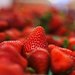 The Spring Fruit: Strawberries