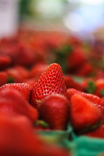 The Spring Fruit: Strawberries The Spring Fruit: Strawberries