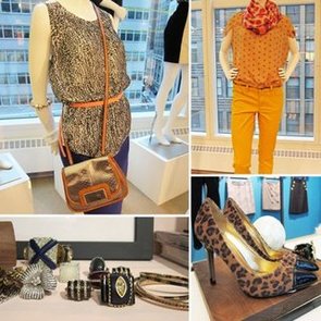 LOFT Ann Taylor Fall 2012 Collection