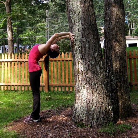 Outdoor Tree Stretches