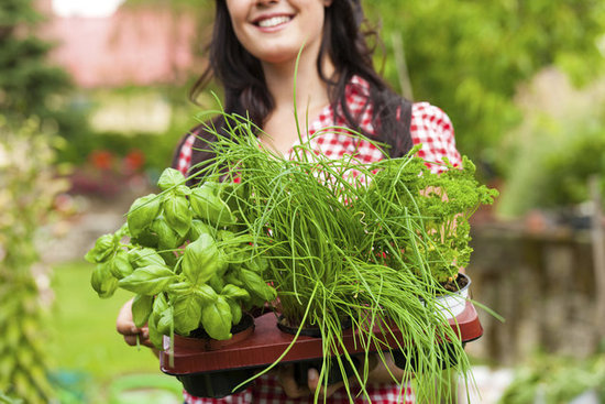 Eat Sustainably