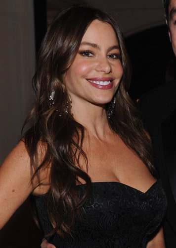 Sofia Vergara smiled for the camera at the White House Correspondant's Dinner.
Sofia Vergara smiled for the camera at the White House Correspondant's Dinner.