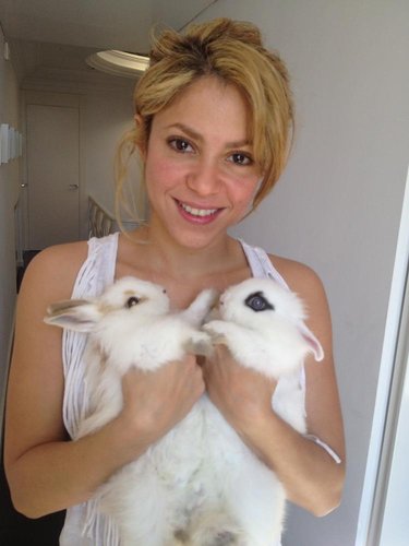 Shakira Shakira