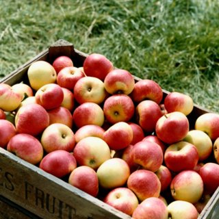 Fiber in Fruits