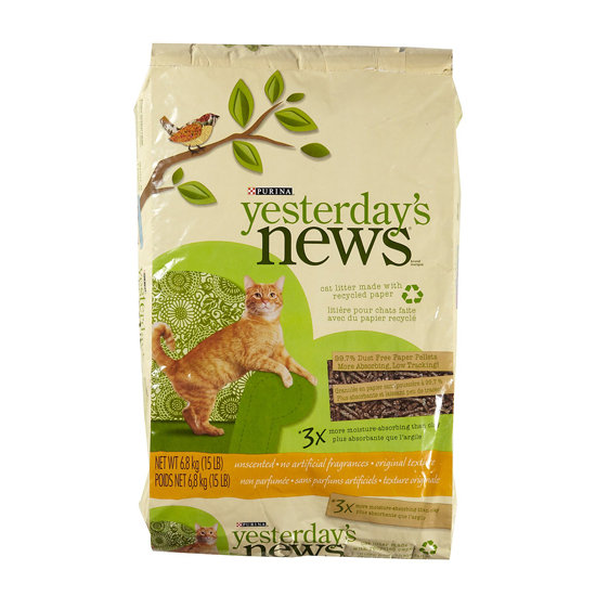 Invest in Low-Dust Cat Litter Invest in Low-Dust Cat Litter