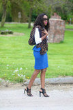 Leopard and Cobalt