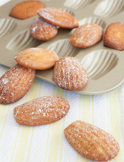 french madeleines french madeleines