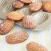 What's for Dessert, French Madeleines