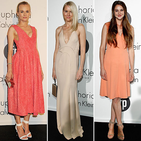 Cannes Film Festival Calvin Klein Party Pictures