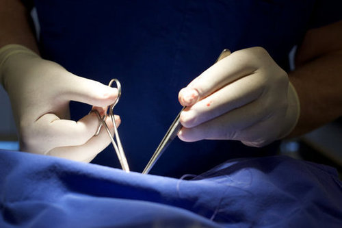 Did you have an episiotomy? Did you have an episiotomy?