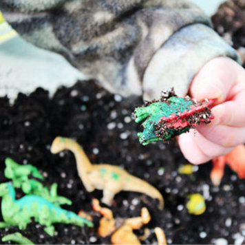 Garden For Kids