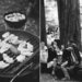 Campout Food