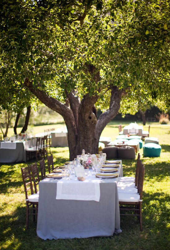 High-Class Outdoor Picnic High-Class Outdoor Picnic
