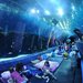 Georgia Aquarium: Atlanta, GA
