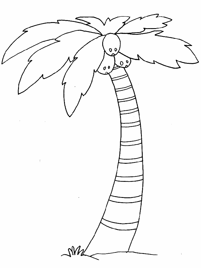 palm tree coloring page