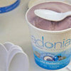 Best Greek Frozen Yogurt