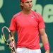 Rafael Nadal, 26