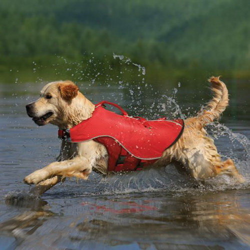 Kurgo Surf n Turf Dog Life Jacket Kurgo Surf n Turf Dog Life Jacket