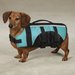 Guardian Gear Brite Dog Life Jacket