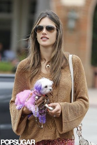 Alessandra Flaunts Postbaby Bikini Body and Shows PDA on the Beach Alessandra Flaunts Postbaby Bikini Body and Shows PDA on the Beach