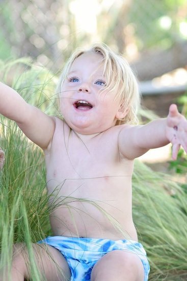 Bodhi 