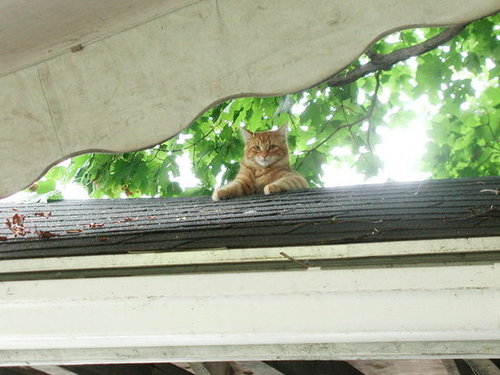 Source: Flickr user photofarmer
Source: Flickr user photofarmer