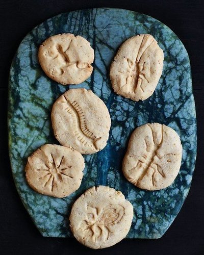 Fossil Cookies Fossil Cookies