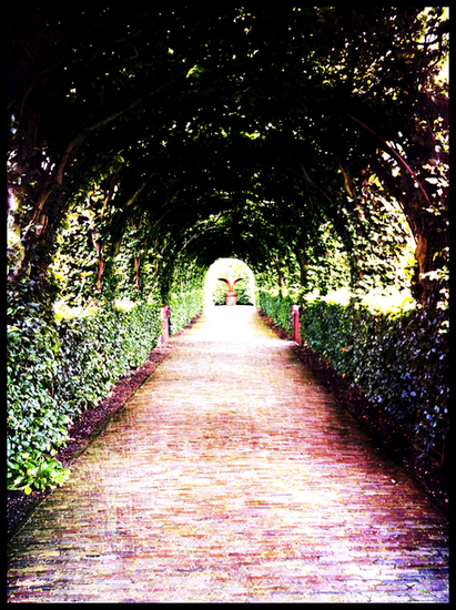 Castle garden Amsterdam