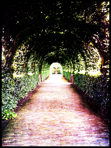 Castle garden Amsterdam