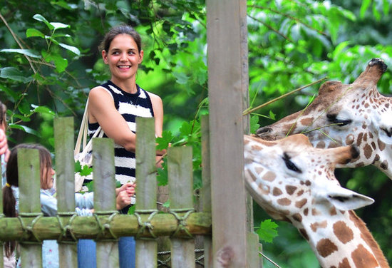 Katie and Suri Feed Giraffes at the Zoo! Katie and Suri Feed Giraffes at the Zoo!