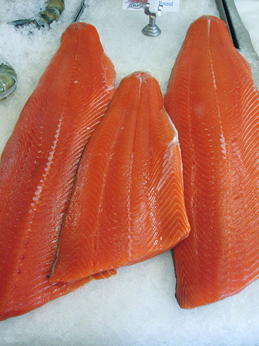 Salmon Salmon