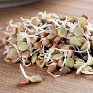 How to Sprout Lentils