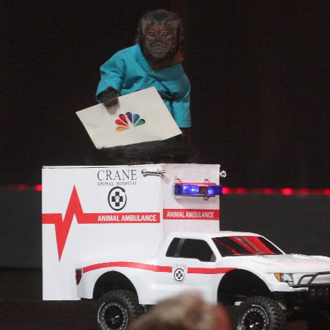 Animal Practice TV Show TCA Panel